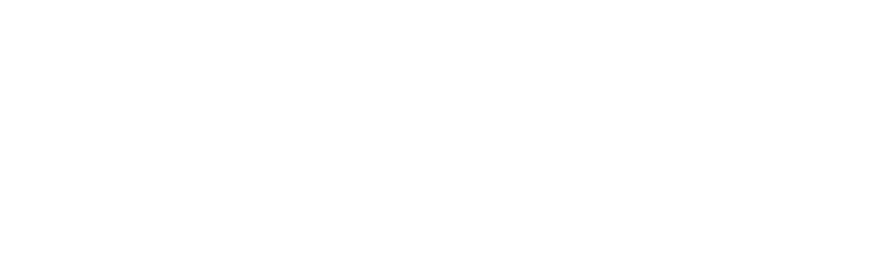 Snapsting Viborg 2026